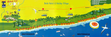 Describe the image here