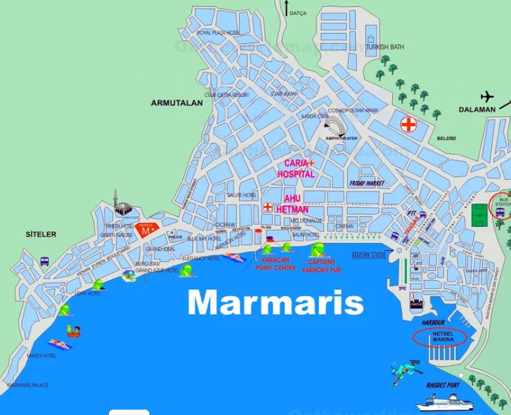 Describe the image here