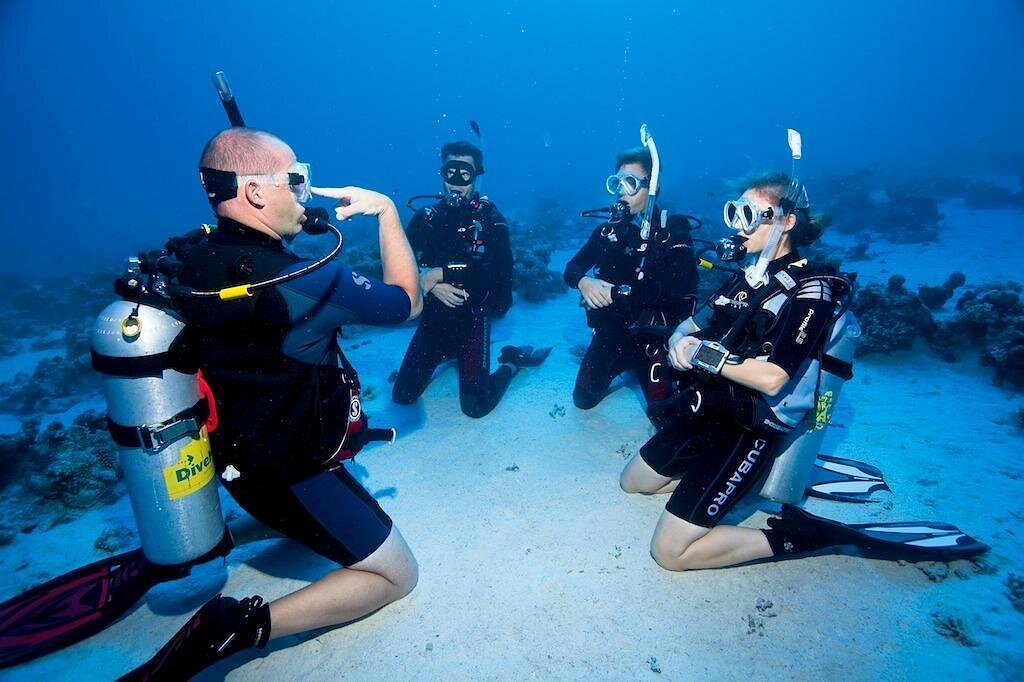 Scuba Diving