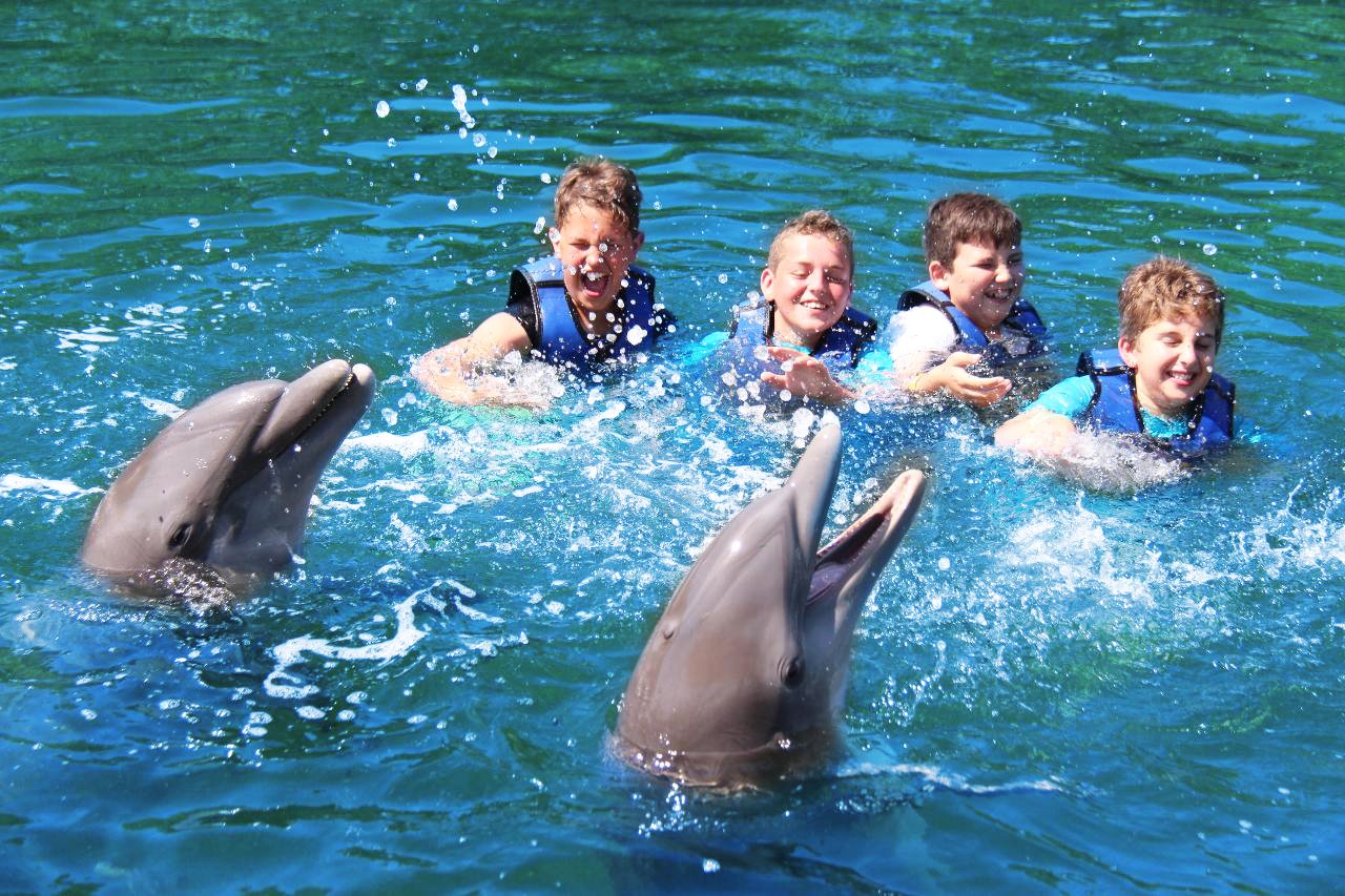 Kids Swimming with Dolphins