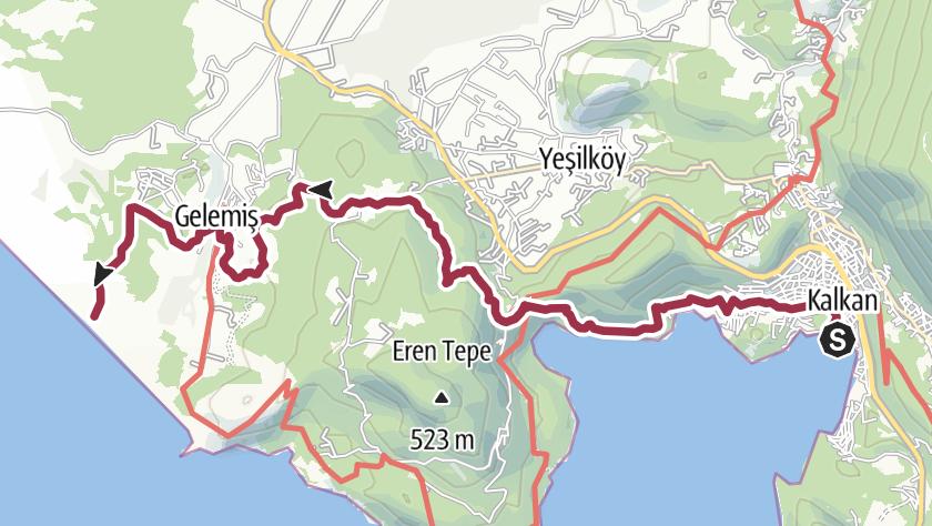 Describe the image here